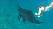 One Day Trip Nusa Penida Island and Snorkeling