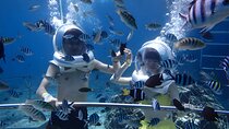 Bali Seawalker + ATV Ride + Spa Packages