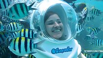 Bali Sea Walking Adventure in Nusa Dua Ocean with Lunch