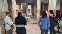 Pompeii Ruins and Naples Archaeological Museum Private Tour from Naples