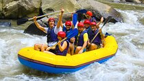 Ayung River Rafting and Bali Best Waterfalls Tour