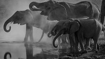 2 Day Drakensberg Mountains & Tala Game Reserve Tour From Durban