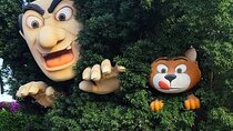Dubai Miracle Garden and Dubai Frame Tour with Transfer