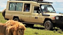 Private Multi Day Serengeti Safari