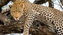 9 Days Private Serengeti Wildebeest Migration Safari