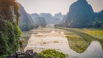 Half Day Guided Bike and Boat Tour in Hoa Lu, Ninh Binh