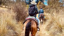 Horseback in the mountains & Food in our ranch