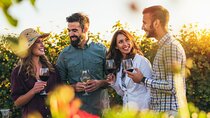 Alsace Wine Odyssey: Full-Day Private Tour from Strasbourg
