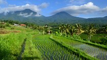 UNESCO Jatiluwih Rice Terrace and Tanah Lot Sunset Tour