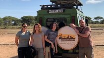 3Days luxury safari to Tarangire Ngorongoro crater and Manyara