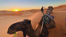 3-Day from Fes to Marrakech A Memorable Moroccan Adventure