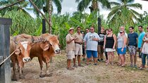 Safari Full Day Outdoor Adventure in Punta Cana