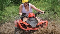Experience Private Quad Bike and Jungle Swing in Bali Indonesia 