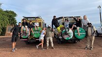 Tarangire National Park and Ngorongoro Crater 2-Day Private Tour