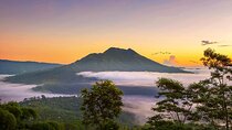 Ubud-Kintamani Private Tour (All Inclusive)