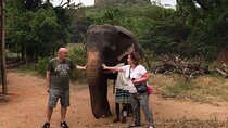 8 Days Private Guided Tour in Sri Lanka with accommodation (BB)