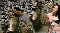 Bali Full-Day Car Charter: Beauty of North Bali Tour