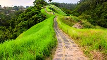 Bali Full Day-Tour: Ubud Sightseeing Trip