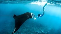Nusa Penida Island Beach Tour With Snorkeling - Departure From Bali Island