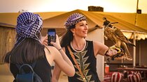 Morning Desert Safari Dubai Tour with Camel Ride and Breakfast 