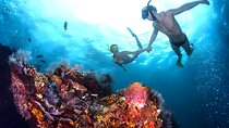 Blue Lagoon Snorkeling and Tanah Lot Sunset Tour
