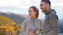Private Tour in Monterey and Big Sur Discovery from San Jose