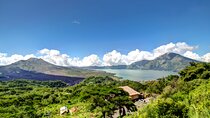 Bali Tour: Village, Volcano, Holy Spring Temple, Waterfall Tour