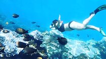East Nusa Penida Island Snorkeling Tour - From Bali Island