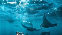 Private One Day East and West Tour with Snorkeling in Nusa Penida