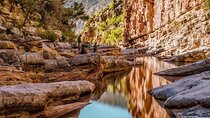Paradise Valley and Atlas Mountains Adventure in Agadir