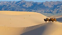 Captivating Central Mongolia with Guide
