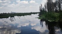 Pre-Hispanic Xochimilco and ajolotario. Private Ecotour.