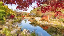 (Private tour) Nami Island + Railbike + Garden of morning calm