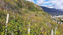 Private Wine Tour: Terraced Vineyards with Alpine view from Milan