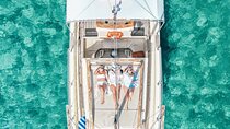 6 Hour Private Cruise in Mykonos with Food and Drinks