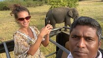  From Colombo/Negombo to Sigiriya, Dambulla Day Trip & Safari