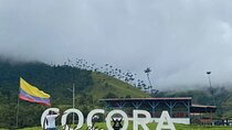 2 Day Private Tour at Salento Adventure and Cocora Valley