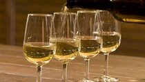 Kefalonia Private Wine Tour