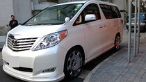 Nagoya Int Airport to Nagoya Round-Trip Private Transfer