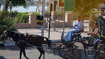Exploring Luxor City by Horse Carriage Tour