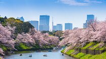 Full Day Private Shore Tour in Tokyo from Tokyo Cruise Port