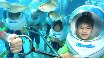 Bali Sea Walking and Ubud Sacred Monkey Forest, Waterfall Tour