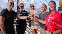 Eiffel Tower Climbing Tour with Summit Access