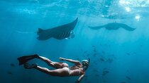 Nusa Penida West Full day Trip with Snorkeling