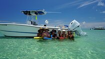 Sandbar Excursion in Key West