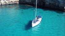 Palm: sailing boat, local skipper, crystall water food, drinks!!