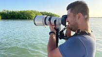 Flamingo Sightseeing Pink Lake Tour and Rio Lagartos Boat Ride