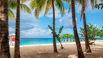 Full Day Private Shore Tour in Montego Bay from Ocho Rios Port