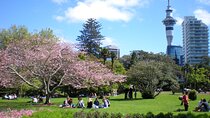 Full Day Private Shore Tour in Auckland from Tauranga Cruise Port