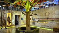 Ethnographic Museum in Krakow - Entry Ticket